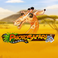 Photo Safari game thumbnail